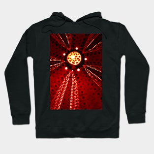 ambulacra Hoodie